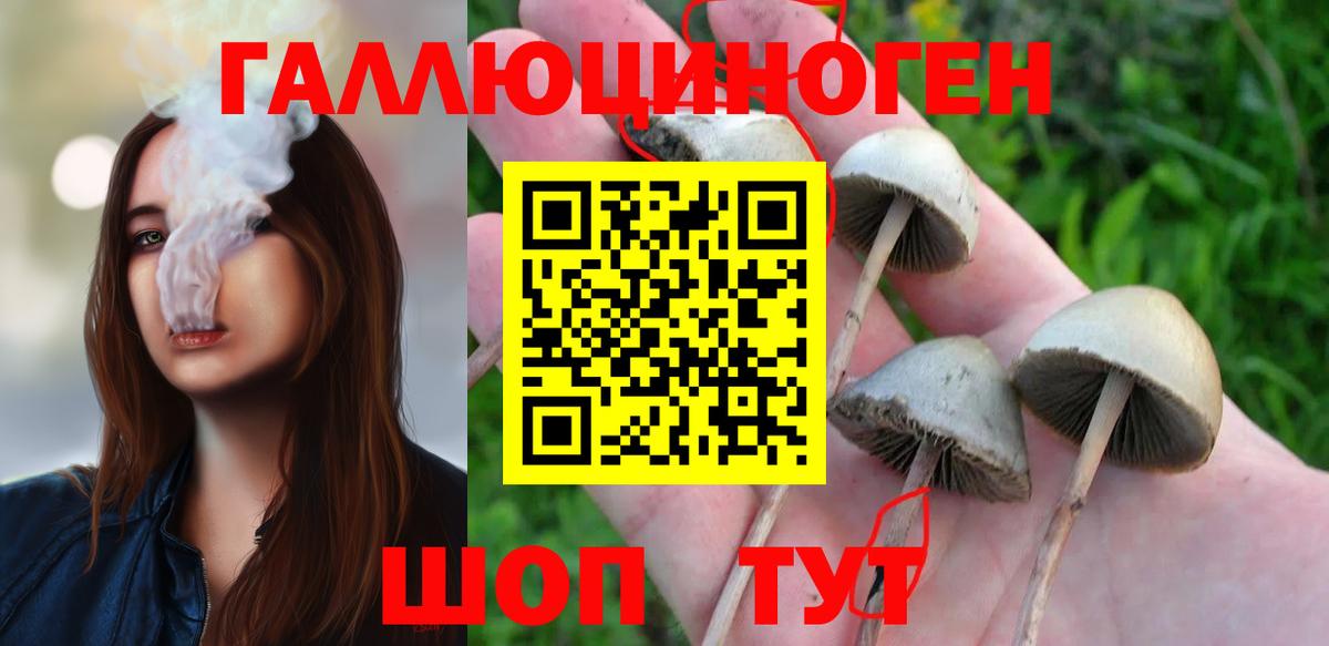 Галлюциногенные грибы Cubensis Орёл