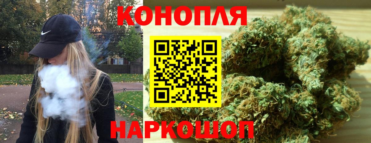 Конопля сатива Орёл